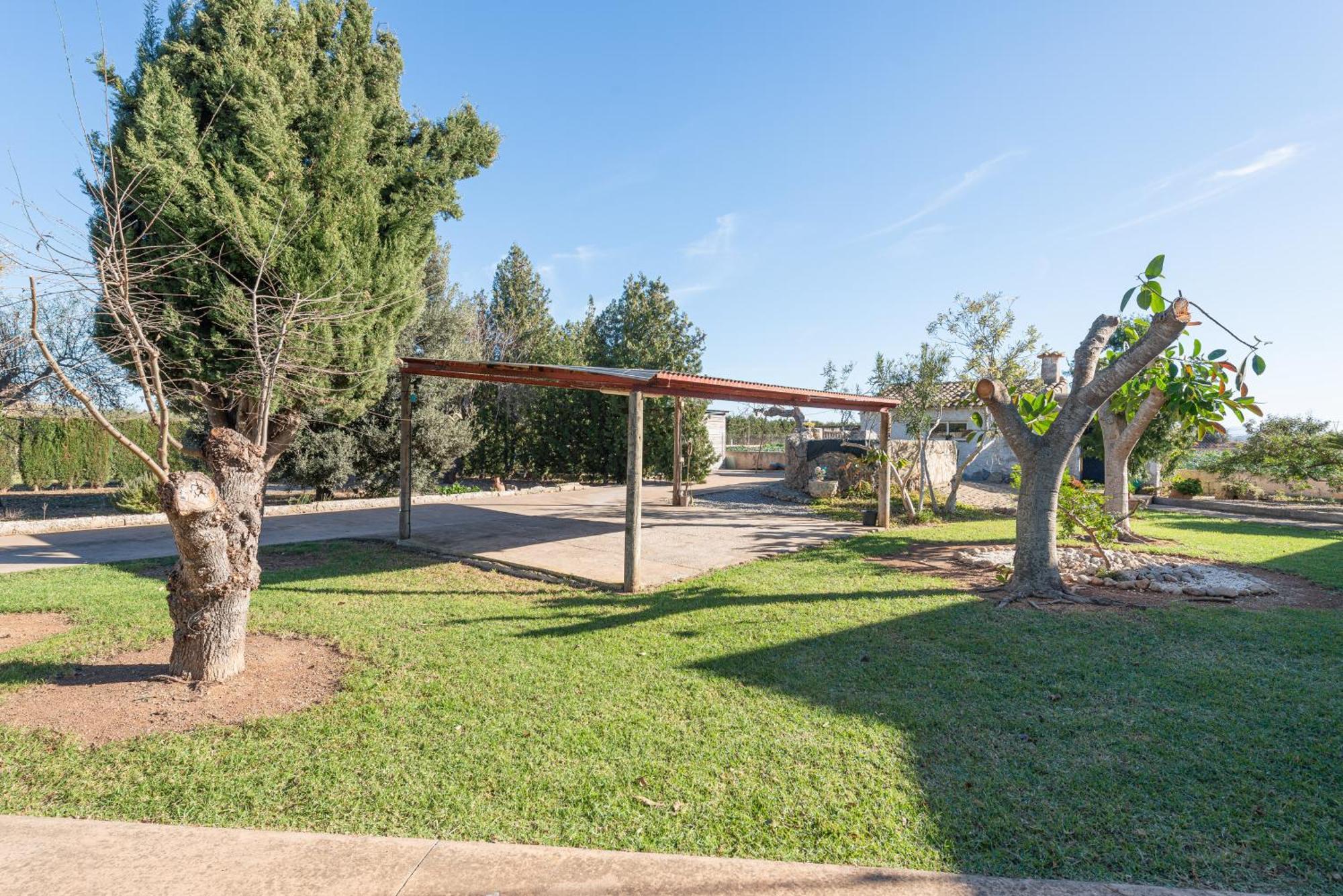 Ferienhaus Son March I